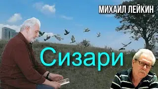 Сизари🎶Михаил Лейкин(cover)