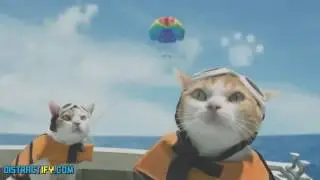 ПРИКОЛЬНО НЕ ПО ДЕТСКИ (18+) #455 GADGAB - КУРИНЫЙ ТВЕРК