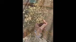 ~Фоновая музыка для видео~