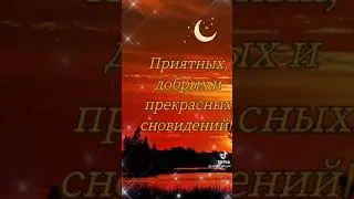 Доброй ночи!!! Сладких снов!!! 