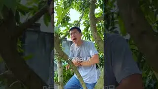 Angry birds Champa🤣🤣 