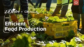 LiDestri's Supply Chain Runs on Oracle