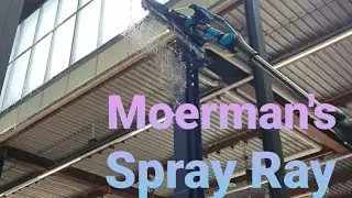 Moerman's 