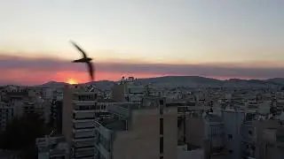A fire in the sky... (31.07.24)