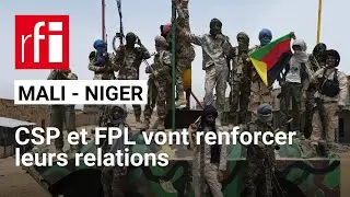 Mali/Niger : vers une collaboration des mouvements rebelles ? • RFI