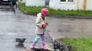 Любовь и Голуби 🥰
