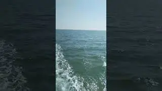 ИЩУ ВДОХНОВЕНИЕ 🙃#vlog