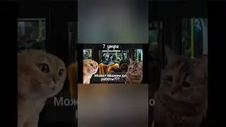 #мем