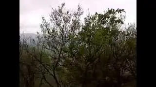 Somewhere in Maharashtra, India - 2