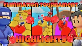 Elimination Tournament Highlights | Stumble Guys | Rishav Playz