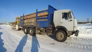 Пасека в снежном плену...намбе фри