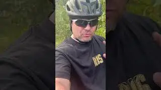 Быдло дозвидания