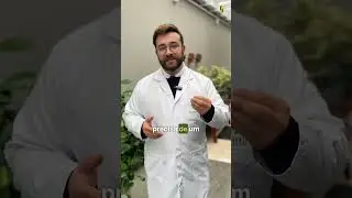 Leucemia