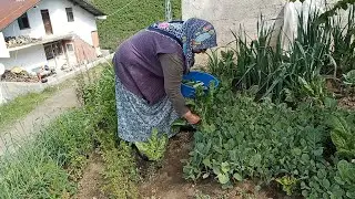 Bahçemizden Soframıza Sebzeli Hamsi Ekmeği