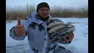 fishing for grabby crucian carp monsters I recommend watching