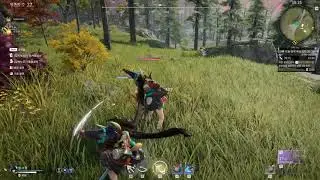 Yoto hime Combo
