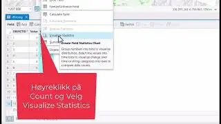 Visualize Statistics for Pikselverdier i et Diskret Raster