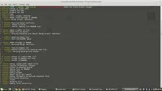58  GIT Annotated Tags