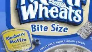 The Blueberry Deception  Fake blueberries made from chemicals and petroleum byproducts