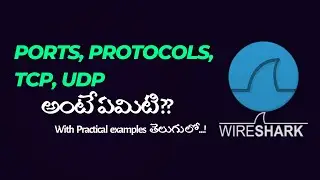 Ports | Protocols | TCP | UDP | TCP Three way handshake | Practical's on Wireshark |