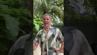 ПОДНЯТЬ БАБЛА НА КРИПТО БОТЕ?