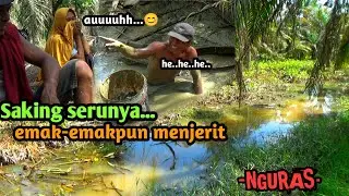 NGURAS PARIT || GABUS LEK SARING MELOMPAT EMAK-EMAK PUN MENJERIT