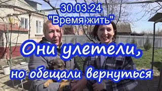 31.03.24  ⏳ Они улетели... ⌛