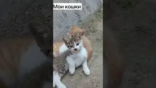 Мои милые