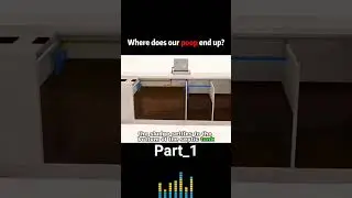 Where Does our poop ends up? 🤢 