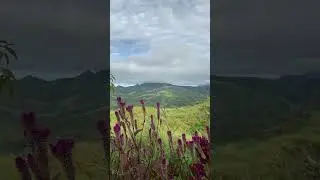 the mountains call, and i must go 🍃 