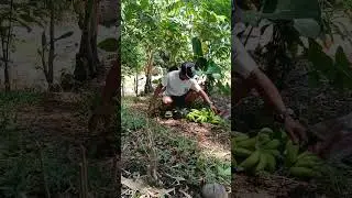 Nakit an si 2maw #khemyattv #funny #comedyfilms #comedy #comedymovies #justforfun #funnycomedy