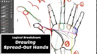 Drawing Spread-Out Hands || Logical Breakdown