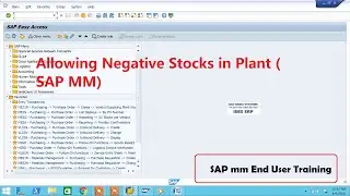 Allowing Negative Stocks in Plant ( SAP MM)