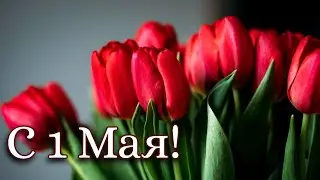 🌷С 1 Мая 2021!🌷 Красивые поздравления с 1 Мая! Музыкальная открытка с Первомаем! С праздником 1 Мая!