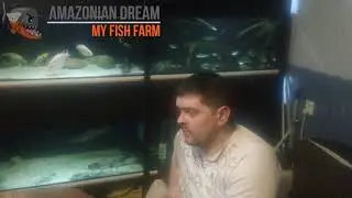 Гибель рыбок - горе или новый поход в зоомагазин?