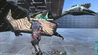 Ark: Survival Evolved: How do you Accessorize a massive Stucture? Coordinate!