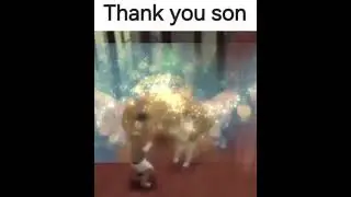 the dog that hugs