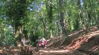 2024   Puglia   Jeep Safari - 10 km di Canyon  - 20 km di Boschi Secolari - Foresta Umbra