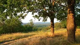 Meditation | healing | music