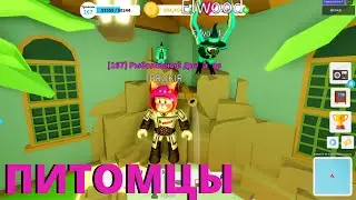 ПИТОМЦЫ В FISHING SIMULATOR ROBLOX/ОБНОВА С СИМУЛЯТОРЕ РЫБАЛКИ РОБЛОКС