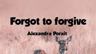 Forgot to forgive-Alex Porat(Lyrics Video)