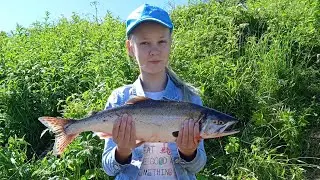 ГОРБУША потихоньку 