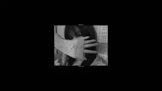 Drake | TSU [ Slowed/Reverb ]
