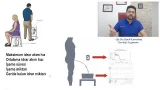 Hangi Pozisyonda İdrar Yapılmalı ?  Ayakta mı ? Oturarak mı ? Çömelerek mi?