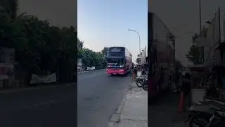 Velentino Emang cantik, Po kencana Jakarta Jepara | #busmania #pokencana #shorts