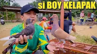 PERDANA MAIN MERPATI KOLONG BARENG BOY & KAWAN