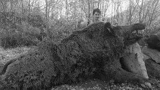2022 DEV DOMUZ AVI / WİLD BOAR HUNTING / CHASSE AU SANGLIER