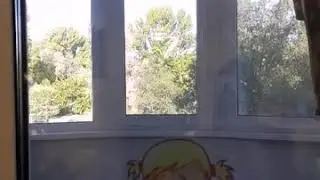 выписка из роддома