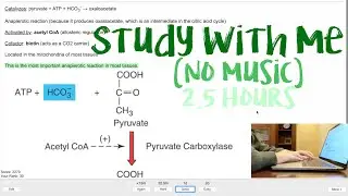 Study With Me (no music), 2.5 Hours - Medical School Edition