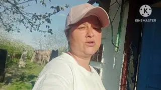 Жизнь у моря.